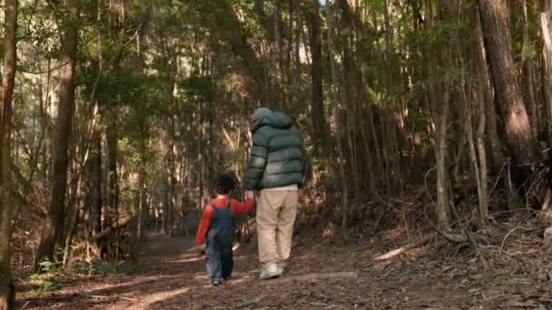 Felismerhetetlen Apa Kisfia Kéz Kézben Bolyonganak Varázslatos Erdőben Egy Felfedező — Stock videók