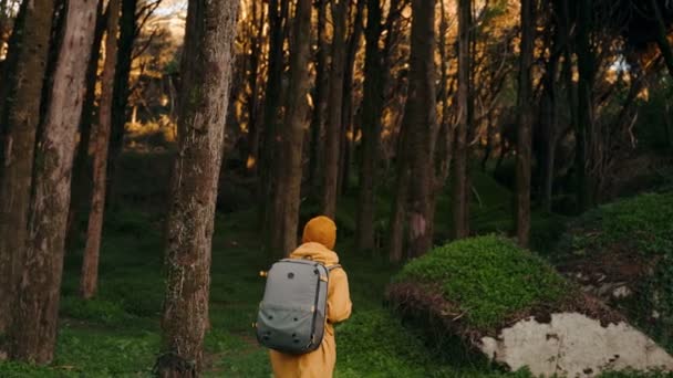 一个穿着黄色雨衣和背包的女人站在茂密的绿色森林中 象征着冒险 孤独和与自然的联系 — 图库视频影像