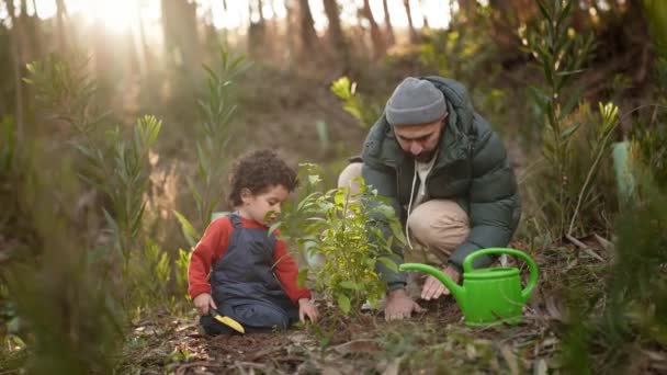 Una Tierna Escena Padre Hijo Dedicados Plantar Árbol Joven Bosque — Vídeos de Stock