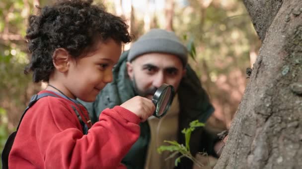 Érdekes Gyermek Nagyítóval Természet Felfedezésére Figyelmes Felnőtt Vezetéssel Tanulás Felfedezés — Stock videók