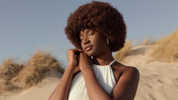 Elegante Afrikanerin Mit Natürlicher Afrofrisur Posiert Friedlich Sanddünen Und Umarmt — Stockvideo