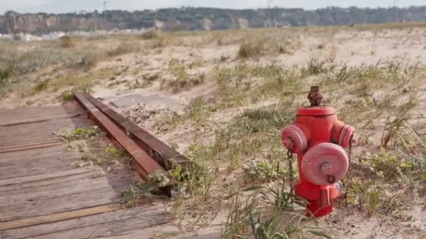 木製の道と草が付いている砂のビーチの錆ついた赤い消火栓 人間が作った環境と自然環境との安全 コントラストの概念 — ストック動画