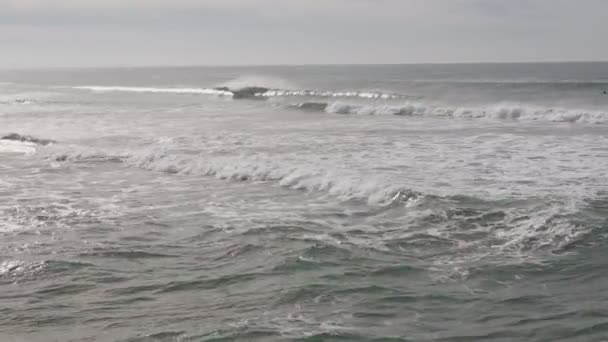 Kilku Surferów Postrzegane Łapanie Średnich Fal Oceanie Pod Czystym Niebem — Wideo stockowe