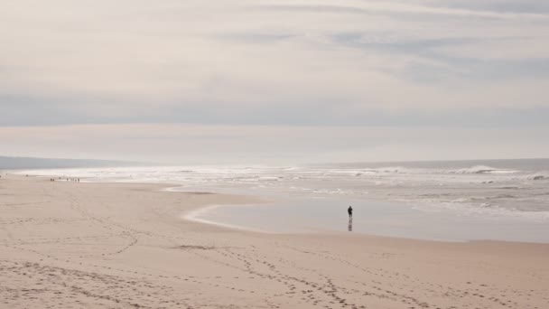 平和と孤独の感覚を伝える広大なビーチに沿って散策するひとりの静かなシーン — ストック動画