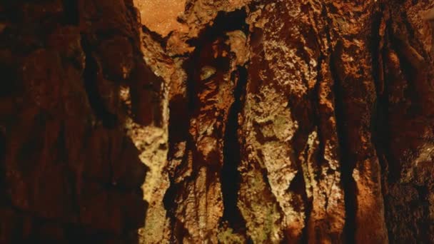 Eerie Och Vackra Klippformationer Inne Underjordisk Grotta Belyst Omgivande Belysning — Stockvideo