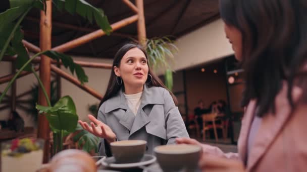 커피숍에서 친절한 대화에 참여한 여성이 캐주얼한 분위기 속에서 이야기와 웃음의 — 비디오