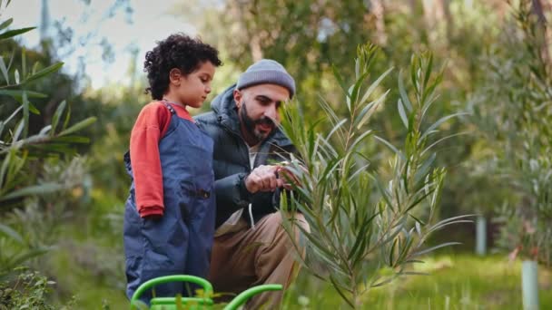 Egy Szívmelengető Pillanat Mint Egy Szakállas Apa Megmagyarázza Növényi Élet — Stock videók
