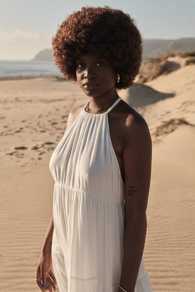 Young African American Female Afro Hairstyle Summer Dress Looking Camera Royalty Free Stock Photos