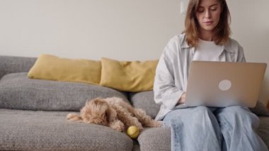 Odaklanmış bir kadın dizüstü bilgisayarı üzerinde çalışıyor, yanında da tatlı, kıvırcık saçlı köpeği kanepeye uzanmış, iş hayatı dengesini resmediyor..