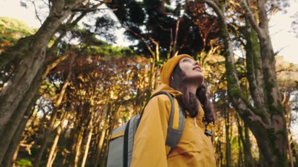 一个喜欢冒险的女徒步旅行者在茂密的森林里徒步旅行时 敬畏地抬头看着周围高耸的树木 — 图库视频影像