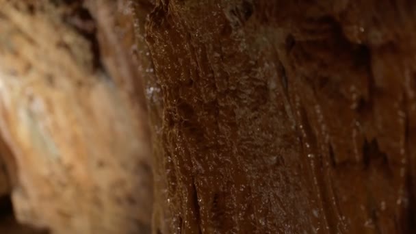 Close Água Gotejando Uma Parede Caverna Destacando Formações Geológicas Texturas — Vídeo de Stock