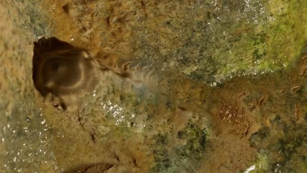 Närbild Vattenränna Som Rinner Över Jordnära Underjordiska Stenar Naturligt Skulpterande — Stockvideo