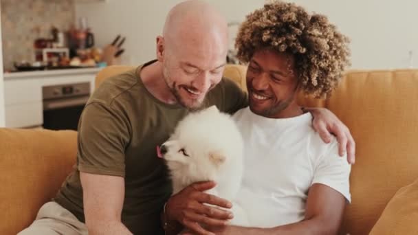 ハッピー多様なゲイカップルは暖かい 家庭的なインテリアでソファにふわふわした白い犬と居心地の良い瞬間を楽しんでいます — ストック動画