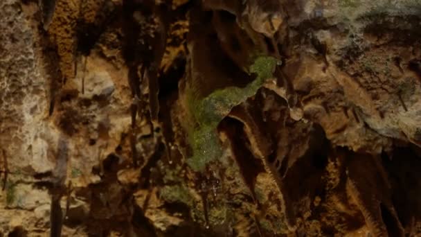 水の美しさは石灰岩の洞窟のストラクタイトルを下にカスケードし 地質学的な不思議を明らかにする — ストック動画