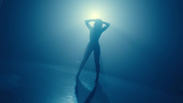 Uma Silhueta Uma Mulher Irreconhecível Dançando Graciosamente Destacada Pela Luz — Vídeo de Stock