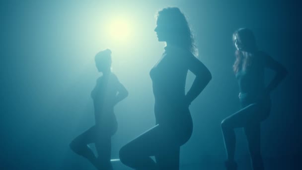 Tres Mujeres Jóvenes Silueta Capturadas Bailando Sensualmente Contra Una Vibrante — Vídeos de Stock