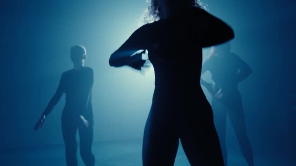 Figuras Silhuetas Mulheres Realizando Uma Dança Sexy Saltos Altos Iluminada — Vídeo de Stock