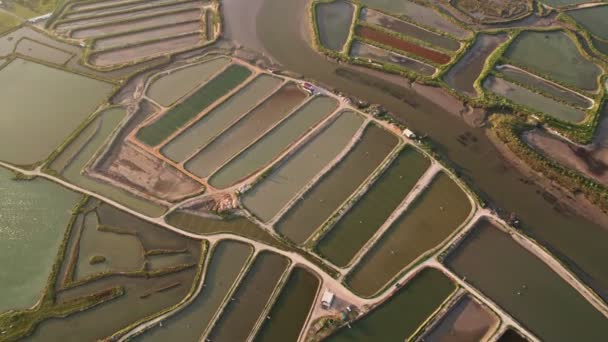 Sürdürülebilir Balık Çiftçiliğinin Farklı Kanallarıyla Çevrelenmiş Yapısını Gösteren Bir Hava — Stok video