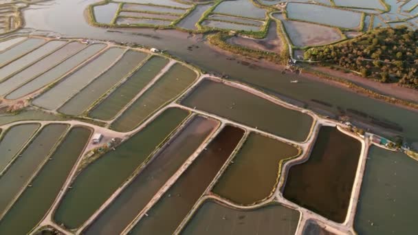 日没時の水反射で塩抽出施設の構造化された盆地を撮影した航空写真 — ストック動画