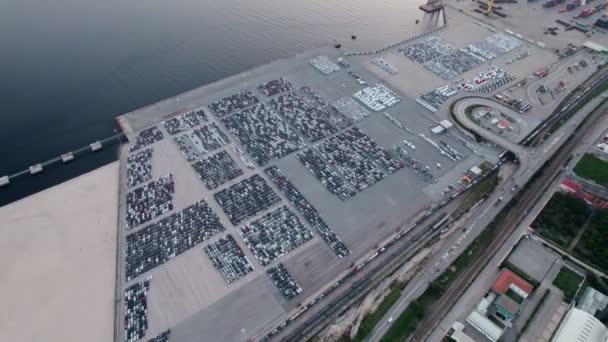 Вид Воздуха Обширную Парковку Порту Заполненную Автомобилями Организованными Экспорта Демонстрирующими — стоковое видео