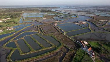 Endüstri ölçeğini vurgulayan, havadan bakıldığında çeşitli balık çiftçilik göletlerini gösteren geniş bir su üretim tesisi..