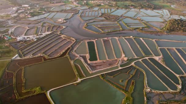 空中撮影は 日没を反映した水で魚の養殖場の複雑なネットワークをキャプチャし 水産養殖を強調します — ストック動画