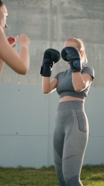 Odaklanmış Atletik Kadınların Boks Antrenmanlarına Dikey Olarak Yumrukları Titizlikle Çalışırlar — Stok video