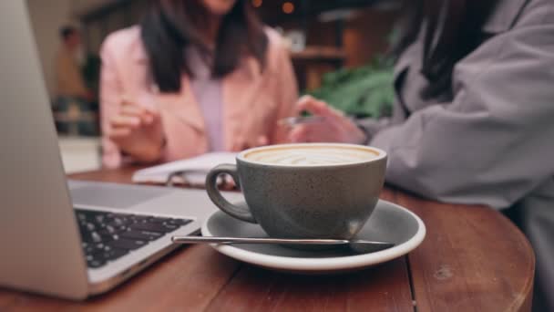Összpontosított Fiatal Nők Együtt Dolgoznak Egy Kávézóban Kávéval Laptoppal Példázva — Stock videók