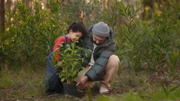 Momento Tierno Como Padre Enseña Hijo Pequeño Cómo Plantar Árbol — Vídeo de stock