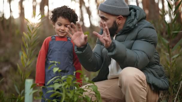 父親としての心温まる瞬間は 森の散歩中に自然について息子に教え 遊び心と教育経験に従事する — ストック動画