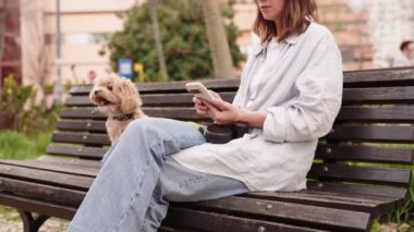 Tüylü bir maltipoo köpeği, akıllı telefonuna odaklanmış kadın sahibinin yanındaki bankta sabırla oturur..