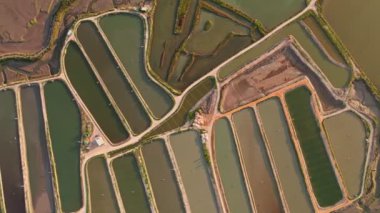 Aquaculture çiftliğindeki yapay havzaların genel görüntüsü, balık yetiştiriciliği endüstrisinin manzarasını gözler önüne seriyor..