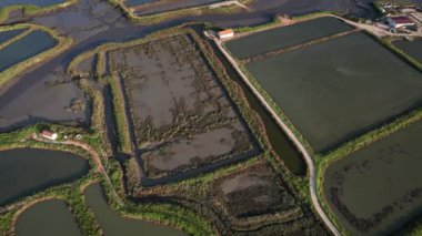 Yüksek açılı çekim, bir su tarlasının büyüklüğünü yakalıyor, sürdürülebilir balık çiftçiliğinde kullanılan sistematik göletleri ve su yollarını gösteriyor..