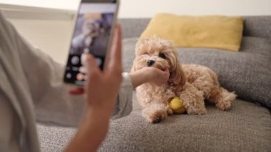 Tüylü bir köpekle oynayıp mutlu anları akıllı telefon kullanarak kaydetmek..