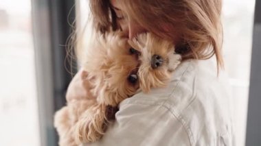 Sevgi dolu bir sahibin sevimli köpeklerine sarılıp sıcaklığı, ilgiyi ve arkadaşlığı hatırlattığı yakın plan..