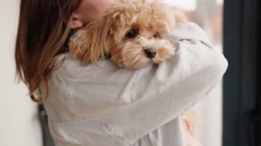 Bir sahibin sevimli köpeklerine sevgiyle sarılıp sarıldığı özel bir insan-hayvan bağını temsil eden sevgi dolu bir an..