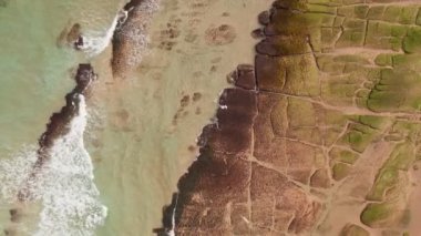 Yeşil bitki örtüsünün sahile ve okyanus dalgalarına karıştığı kıyı erozyonunun tepeden aşağı hava manzarası.