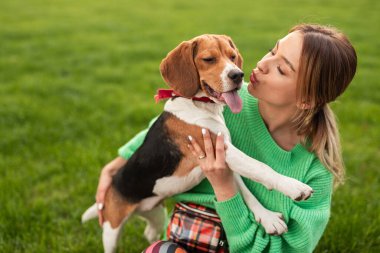 Güneşli bir günde Beagle köpeğiyle şakalaşan genç bir kadın. Yeşil çimenler ve onların neşeli ifadeleri bu iç açıcı anda arkadaşlığın sıcaklığını yansıtıyor..