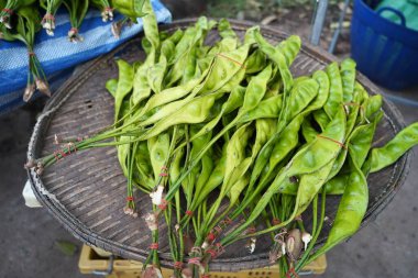 Güney Tayland 'dan taze fasulyeler yerel bir pazarda sergileniyor. Canlı yeşil kapsüller, geleneksel tarım, bölgesel tatlar ve Tayland yerel ürünlerinin zenginliği sergileniyor.