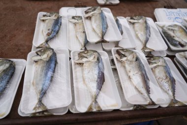 Bir market tezgahında taze uskumrular ve sardalya ve küçük uskumrular da dahil olmak üzere yerel balıklar satışta, geleneksel deniz ürünleri ticareti, canlı pazar yerleri ve Tayland kıyılarındaki günlük yaşam sunuluyor..