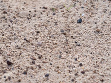 Küçük taşlı küçük bir kum dokusu
