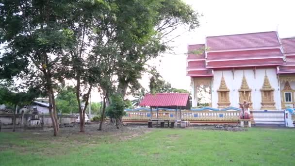 Буддійський Храм Мирному Середовищі Запрошує Медитацію Таїланді — стокове відео