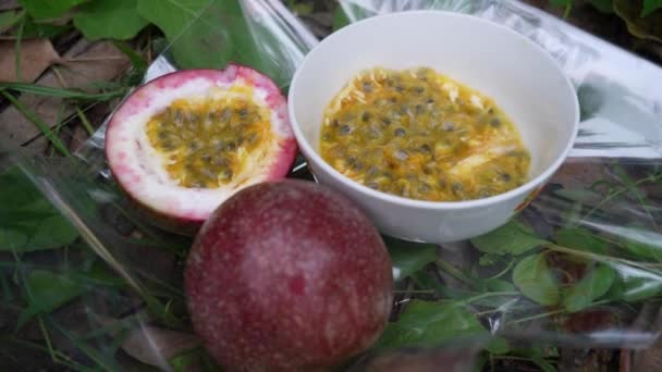 Fruta Pasión Granja Fresca Orgánica — Vídeos de Stock