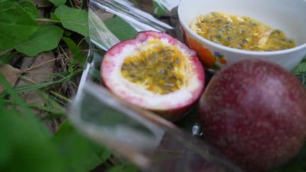 Passion Fruit Organic Fresh Farm — Stock Video