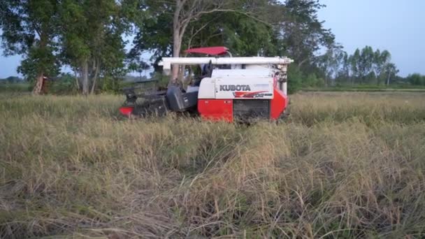 Kombajn Zbożowy Ryżowy Kubota 70G Rolnictwa Transportu Listopada 2023 Buriram — Wideo stockowe