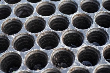 Kreş tepsisi, siyah plastik bitki bakım tepsisinin arkası kare şekilli ve dairesel delikli..