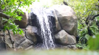 Doğa şelalesi yeşil tropikal orman .