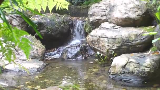 Natur Vattenfall Grön Tropisk Skog — Stockvideo