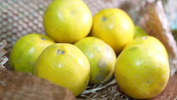 Meyve Grubu Yaklaşıyor Portakal — Stok video