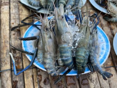 taze nehir karidesleri bambu ahşap arka planda taze tabak.